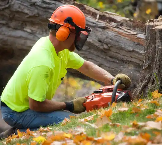 tree services Bogalusa